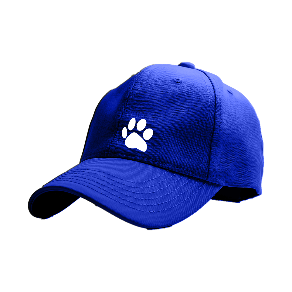 26 - Pawcap - PawPitch