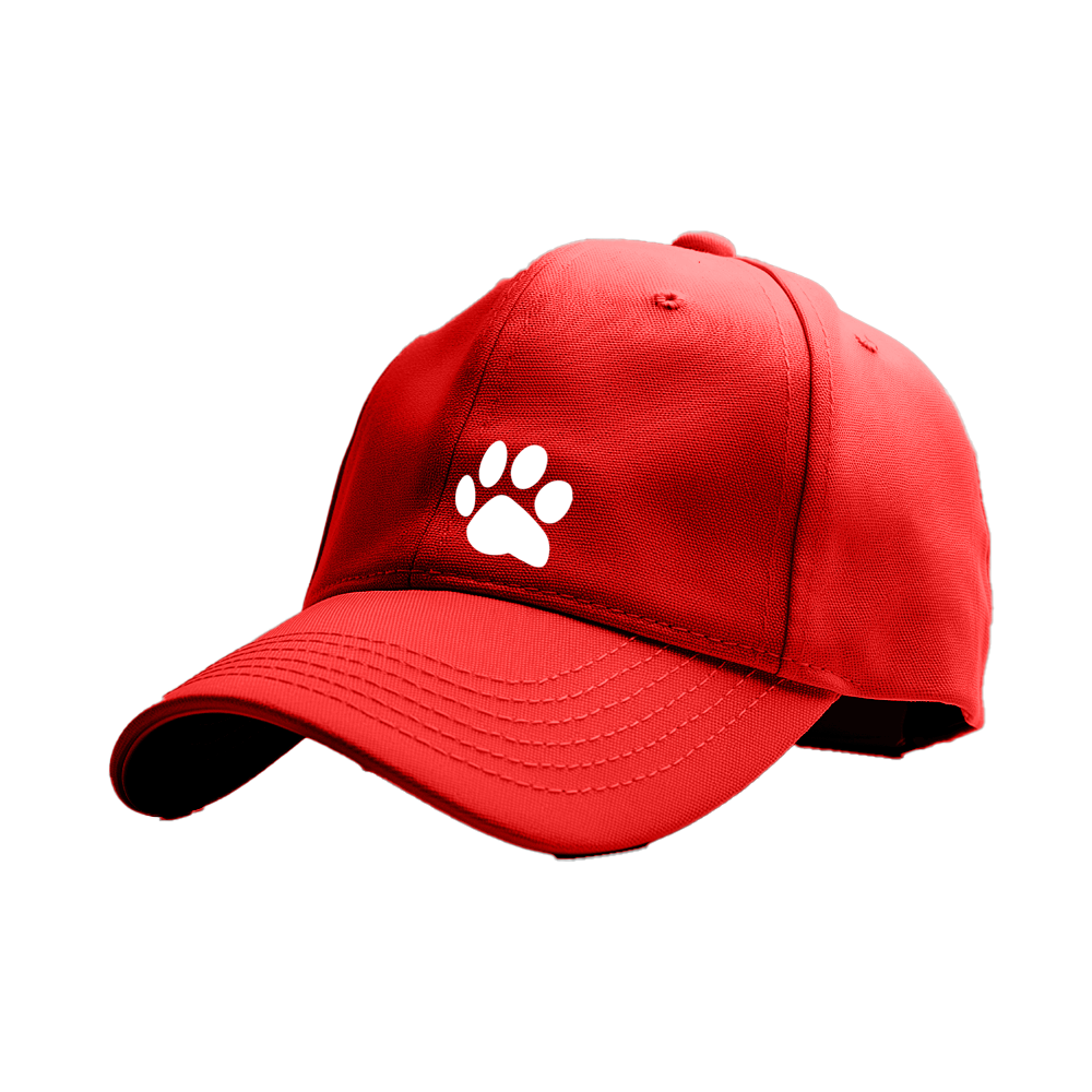 26 - Pawcap - PawPitch